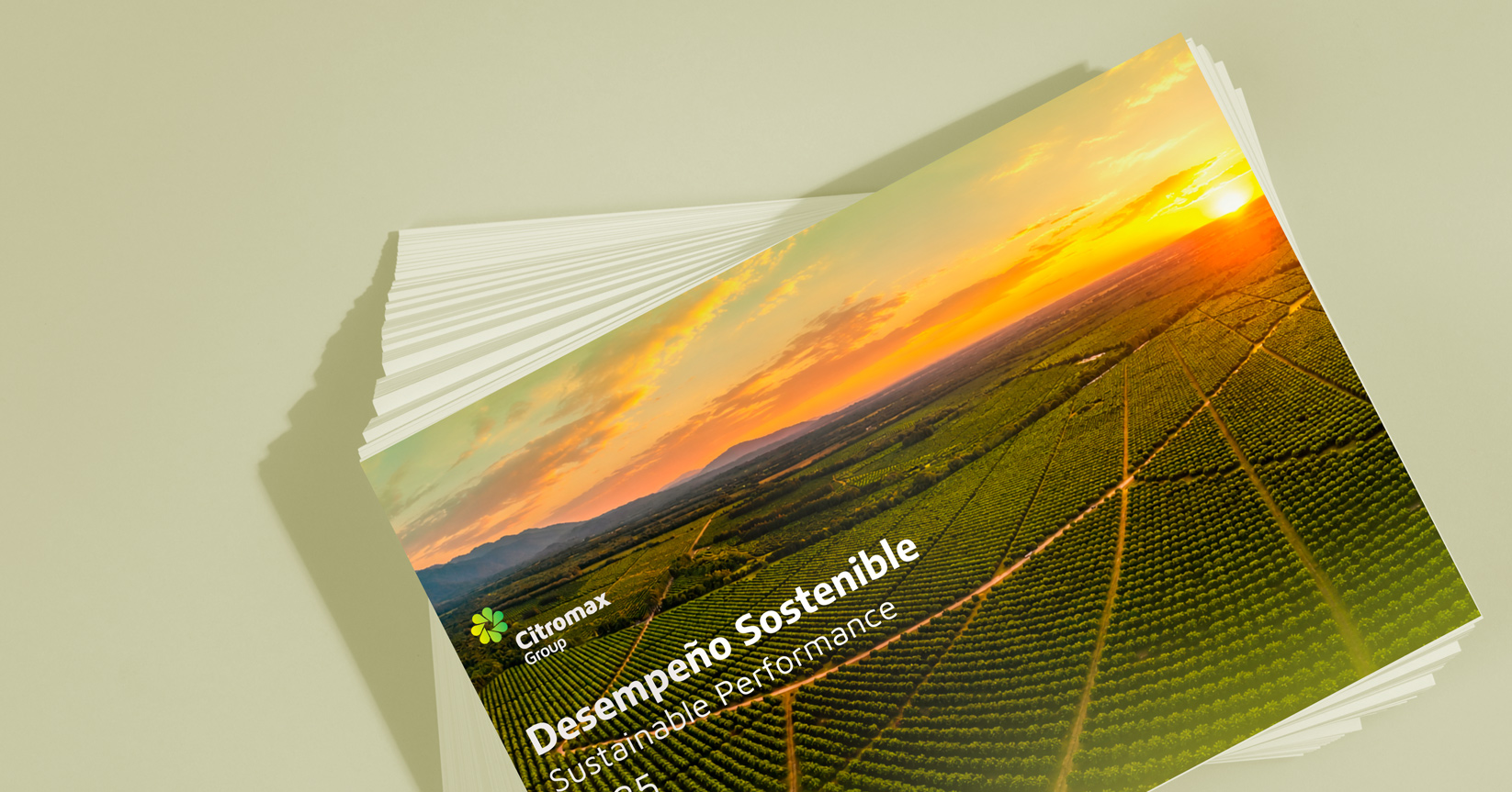 Sustainability<br>Report